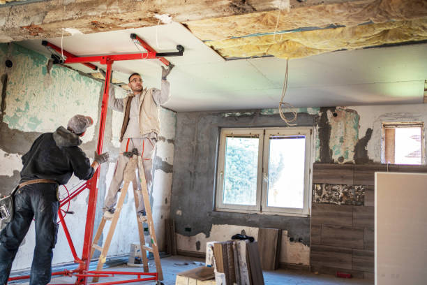 Best Insulation Installation Services in Dania Beach, FL