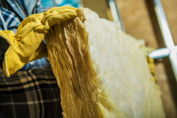 Best Commercial Insulation in Dania Beach, FL